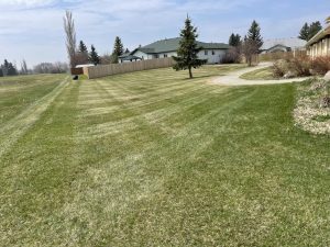 Landsharx Lawn Care and Snow Removal Edmonton